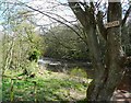 Millpool on the River Ayr