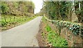 The Bannanstown Road near Castlewellan