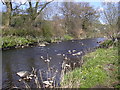 River Irwell