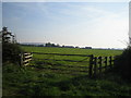 Lower South Farm near Doddershall