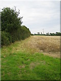 SP7219 : Hedgerow near Lower South Farm by Andy Gryce