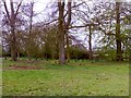 Picnic Area, Stowe Avenue