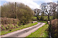 Lane with bridge over the Nant Cwmffrwd