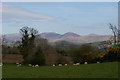 Ballynamagna townland towards the Mournes