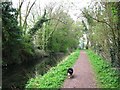 SP8610 : Wendover Arm: A section of the disused canal at Halton by Chris Reynolds