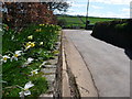 Loxbeare : Village Road