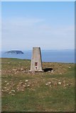 ST2859 : Trig point by william