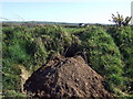 Earthwork at Llanedren