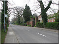 Bus stop on Cromer Road