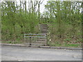 Steps up to Beacon Wood Country Park