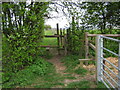 Footpath junction near hedges