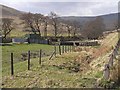 Livestock pens