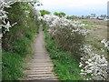 Saxon Shore Way on boardwalk