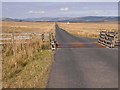 NY4487 : Cattle grid on the moorland road between Langholm and Newcastleton by Oliver Dixon