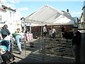 Mobile farm at street market in Petersfield High Street