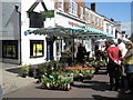 Plant stall at Petersfield Street Market