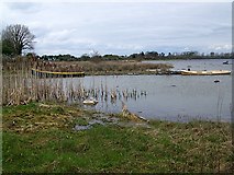 M1741 : Lough Corrib/An Choirib by Maigheach-gheal