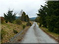 Trac yn  arwain at Fforest Esgair Ychion / Track leading to Esgair Ychion Forest