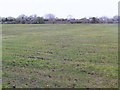 M1641 : Field near Curraveha/Cora Bheite by Maigheach-gheal