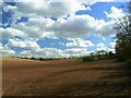 SU2962 : Farmland south of Great Bedwyn by Brian Robert Marshall