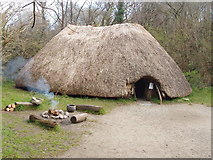 T0122 : First Irish farmers hut, Irish National Heritage Park by David Hawgood