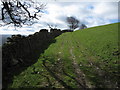 SJ1860 : Bridleway and stone wall below Fron Hen by John S Turner