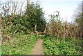 Stile off Vicarage Lane, Burwash Common