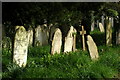 Graves, Southampton Old Cemetery