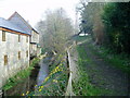 Mill stream at rear of Weycroft Mill House