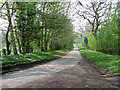 View west along unnamed lane by Whitwell station