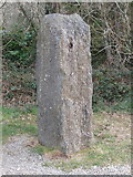 T0122 : Ogham stone, Irish National Heritage Park by David Hawgood