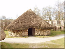 T0122 : Ringfort, Irish National Heritage Park by David Hawgood
