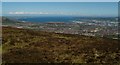 Belfast Lough from Black Mountain