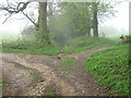 North Downs Way crosses bridleway