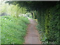 Footpath beside Madingley Road