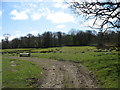 Farm track north of Brynddu