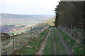 Llwybr Ceiriog above Pengwern Vale