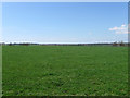 Field near Broomhurst Farm