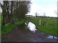 Muddy lane, Tullanafolie