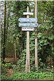 TF1963 : Woodland signpost by Richard Croft