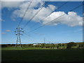 View north along a line of Pylons