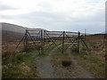 C0419 : Glenveagh. "Gate And Stile In Deer Fence" by Michael Murtagh