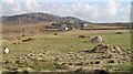 Sheep and stacks, Siabost bho Dheas