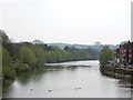 River Severn, downstream from Bewdley