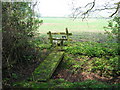 Footbridge near Yaldham Manor