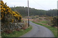 Lane towards the A712