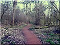 Peascroft Woodland Path