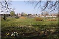 Allotments from The Causeway