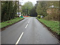 Country lane, Nowton