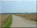 Track to Thornholme Moor Farm